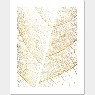 Gold Leaf Skeleton Abstract Botanical Posters and Art